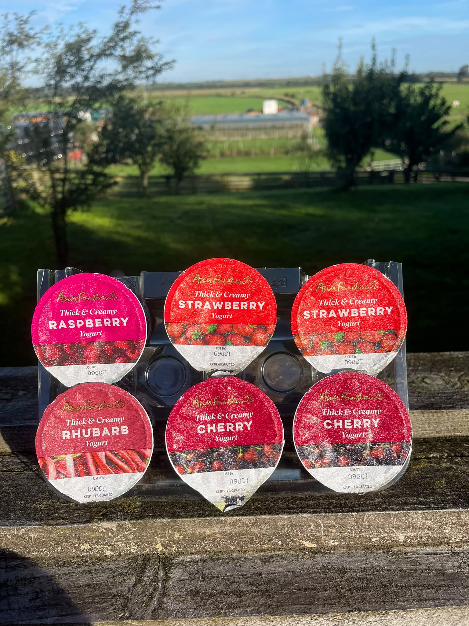 Ann Forshaw's Thick and Creamy Yoghurts, Pack of 6