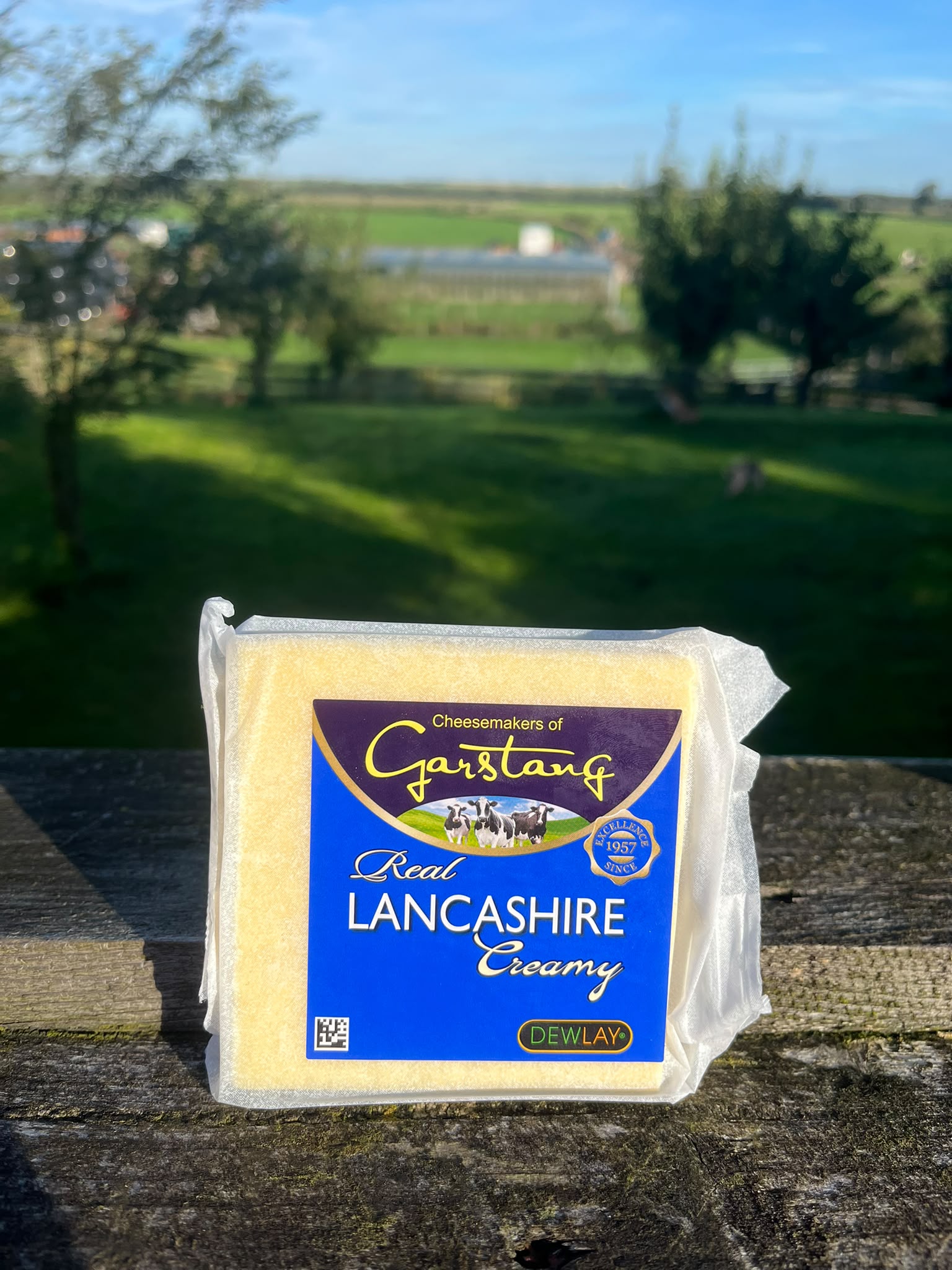 Dewlay Lancashire Creamy Cheese