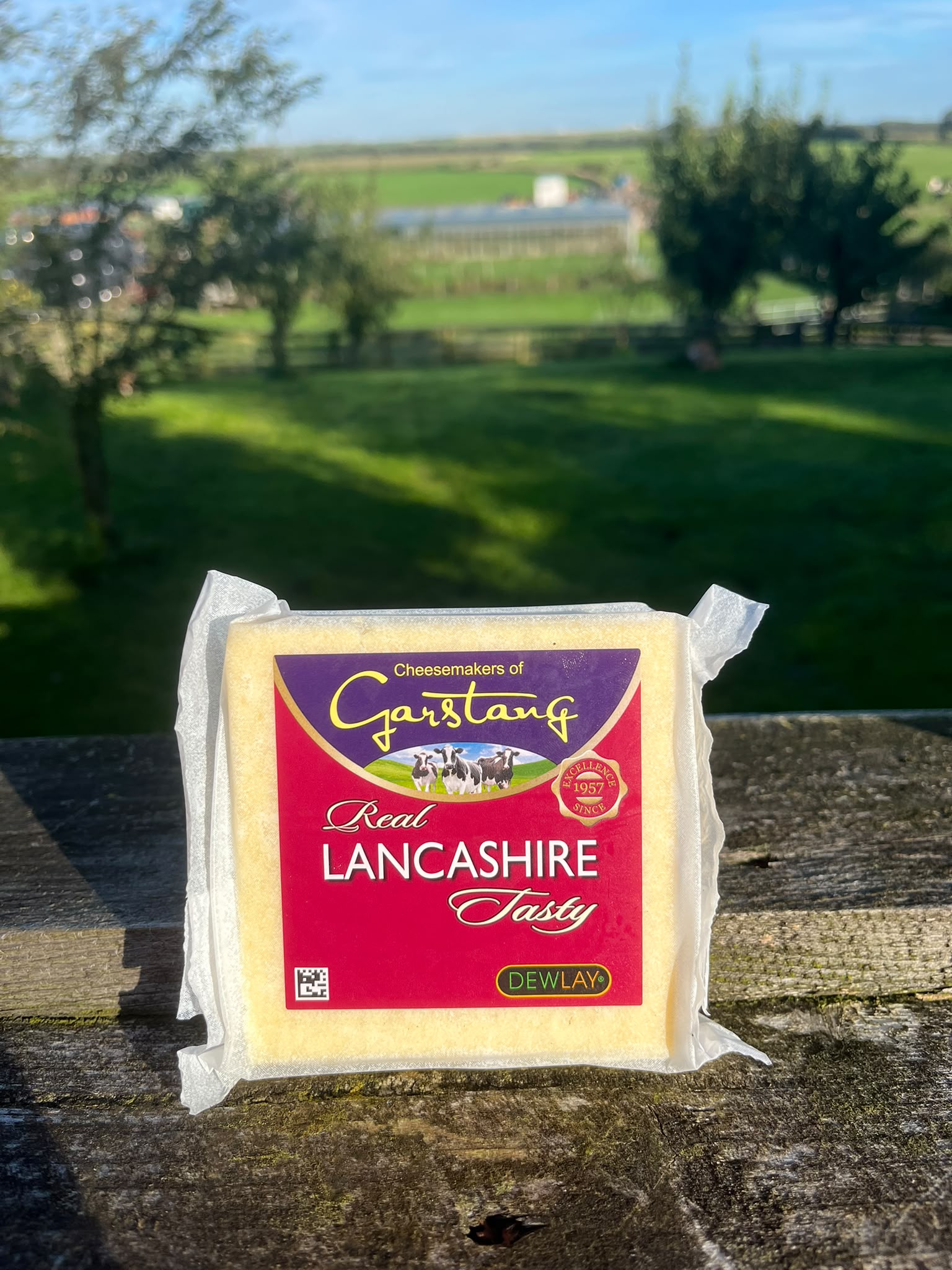 Dewlay Lancashire Tasty Cheese
