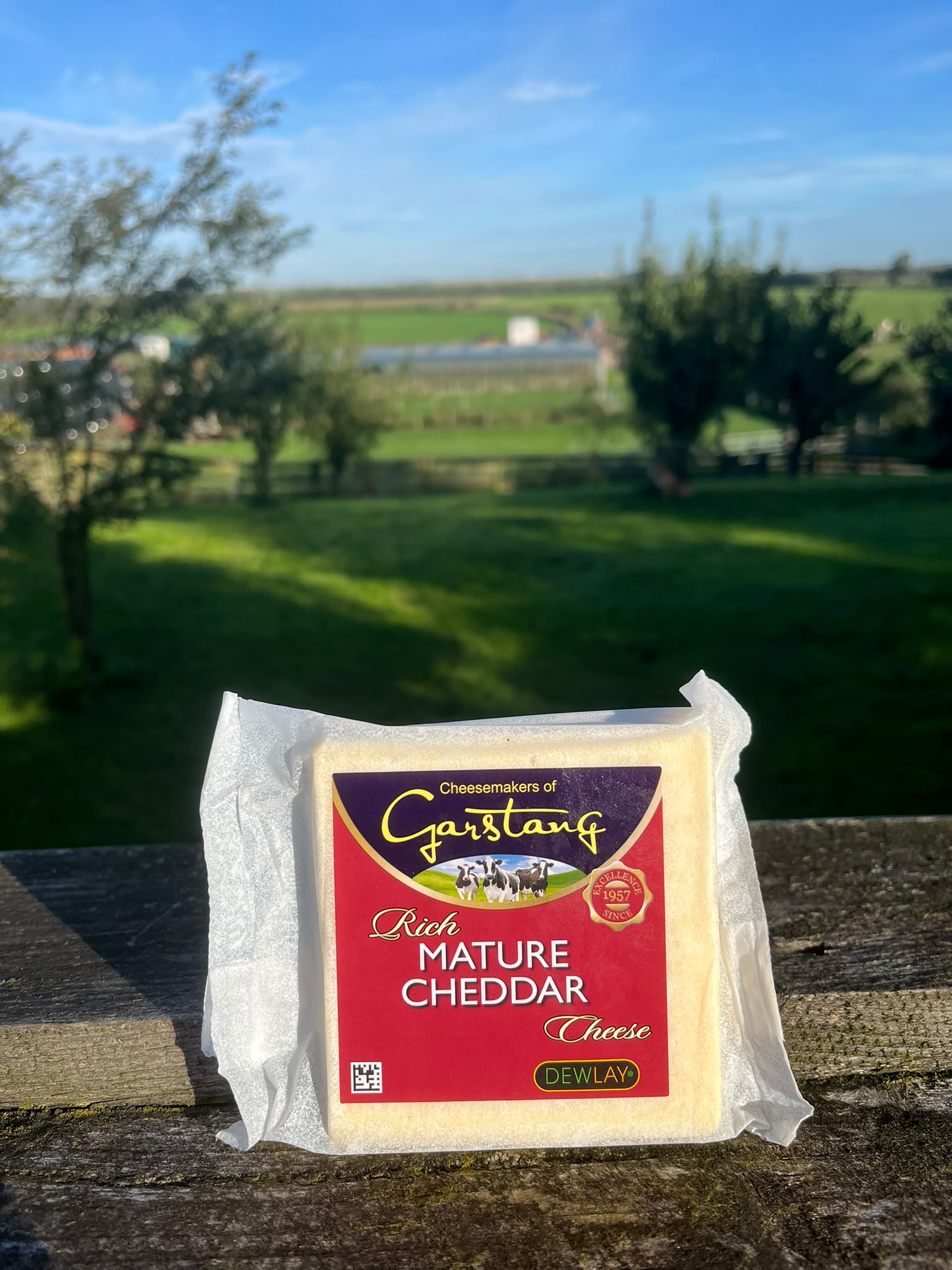 Dewlay Mature Cheddar
