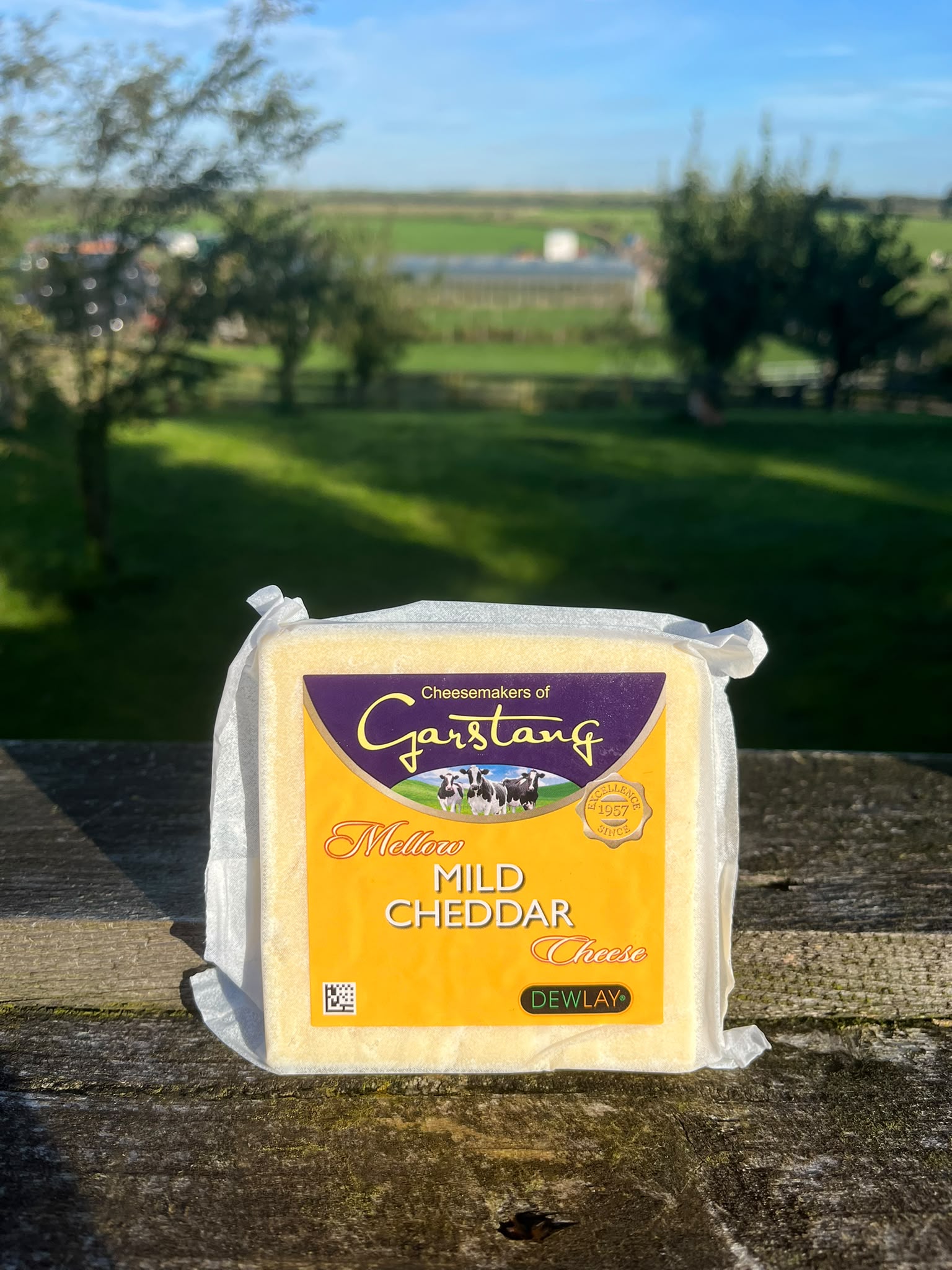 Dewlay Mild Cheddar
