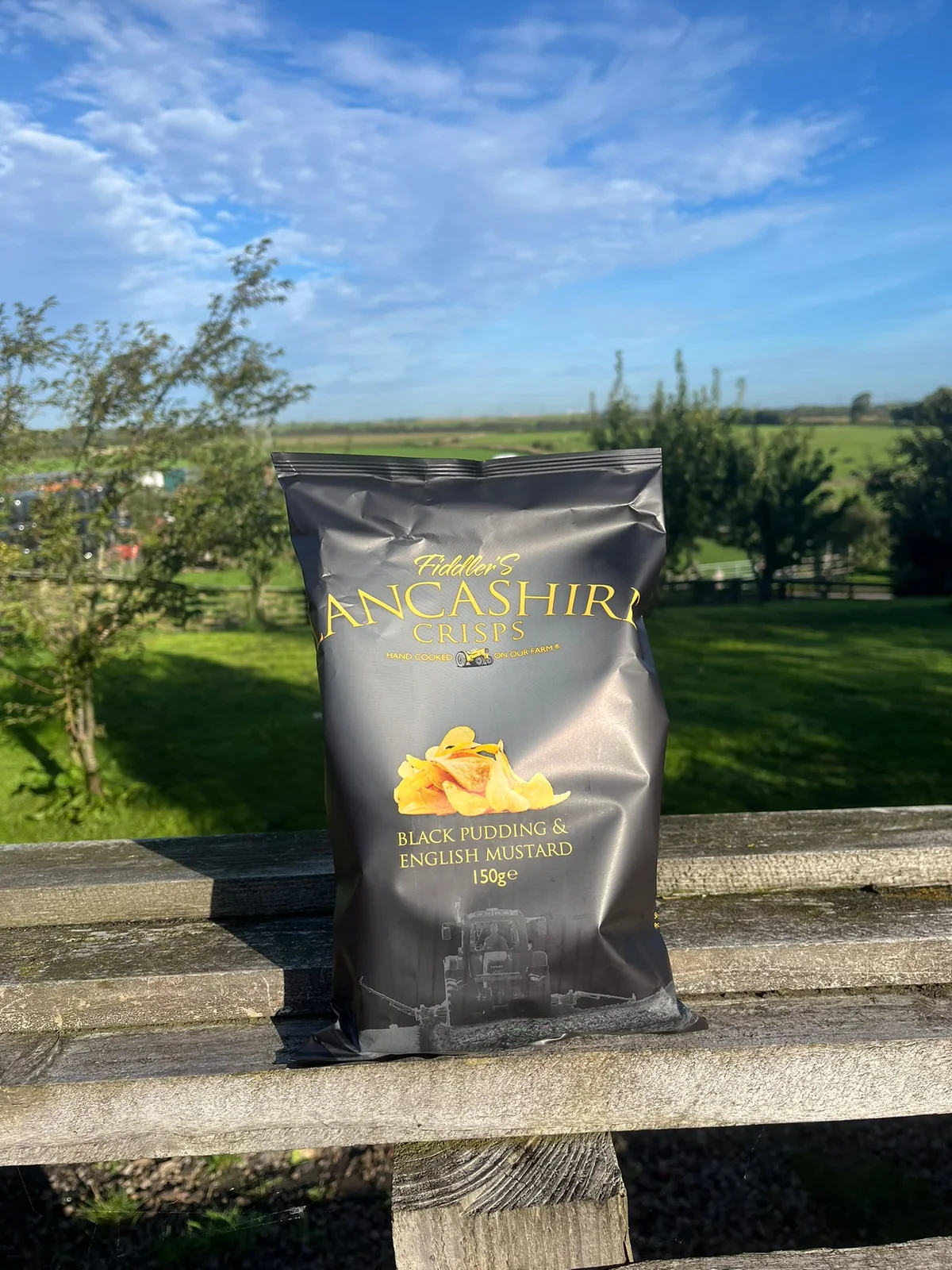 Fiddlers Crisps Share Bag Black Pudding & English Mustard