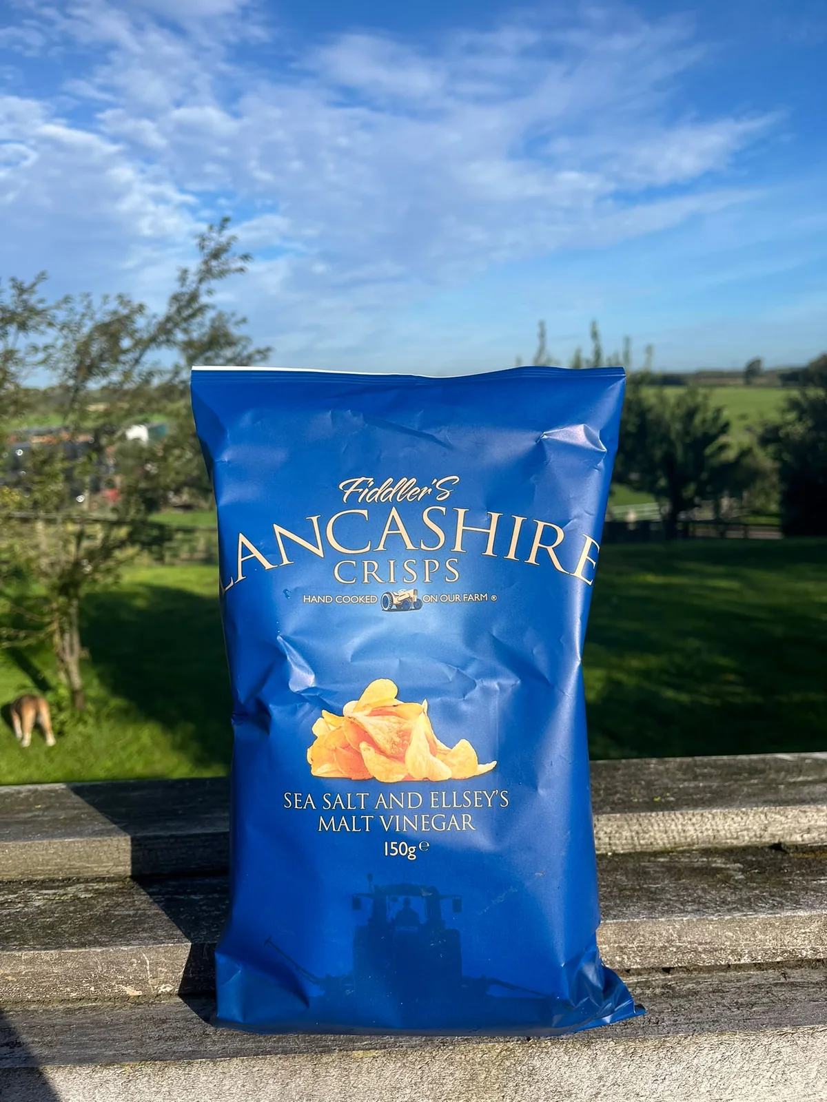 Fiddlers Crisps Share Bag Sea Salt & Ellsey’s Malt Vinegar