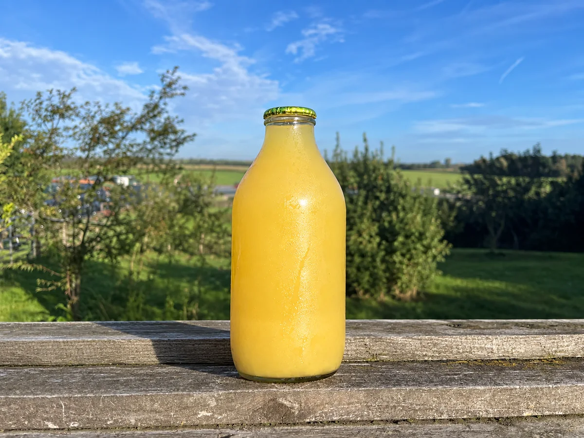 Grapefruit Juice Glass Bottle