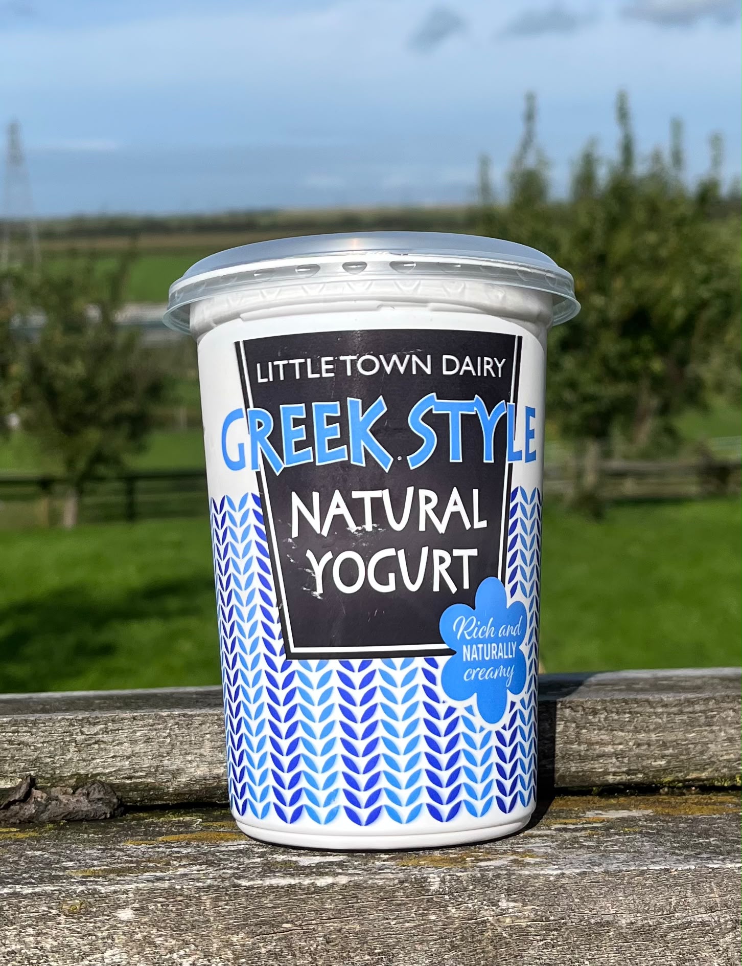 Little Town Dairy Greek Style Natural Yoghurt