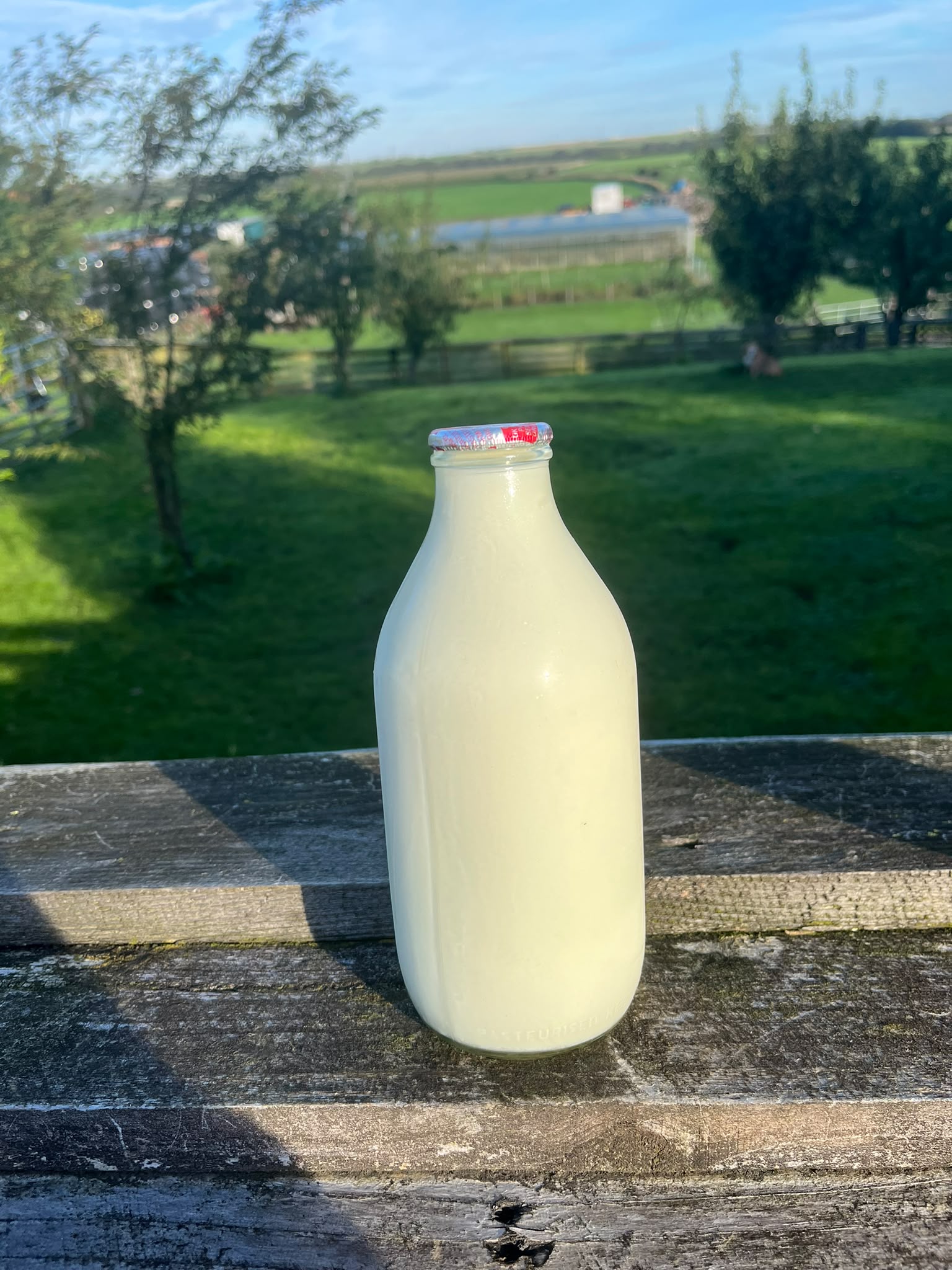 Organic Milk Glass Bottle Full Fat