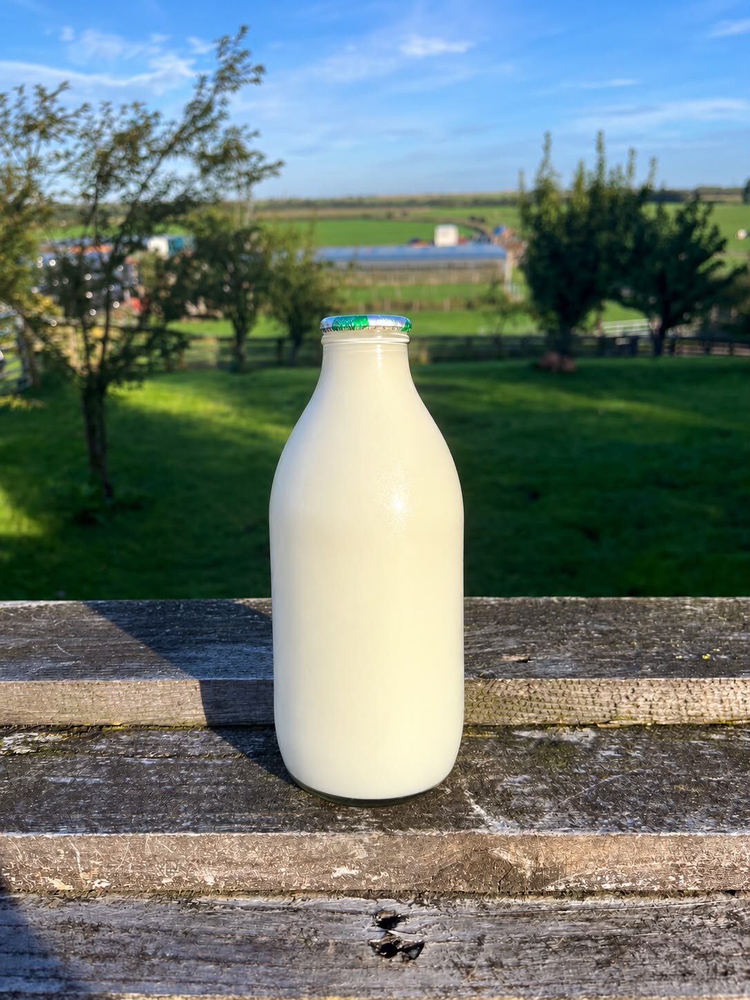 Organic Milk Glass Bottle Semi Skimmed
