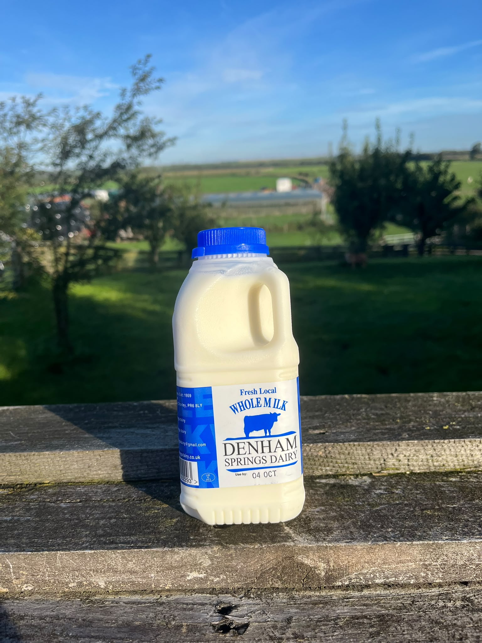 1 Pint Plastic Milk Full Fat