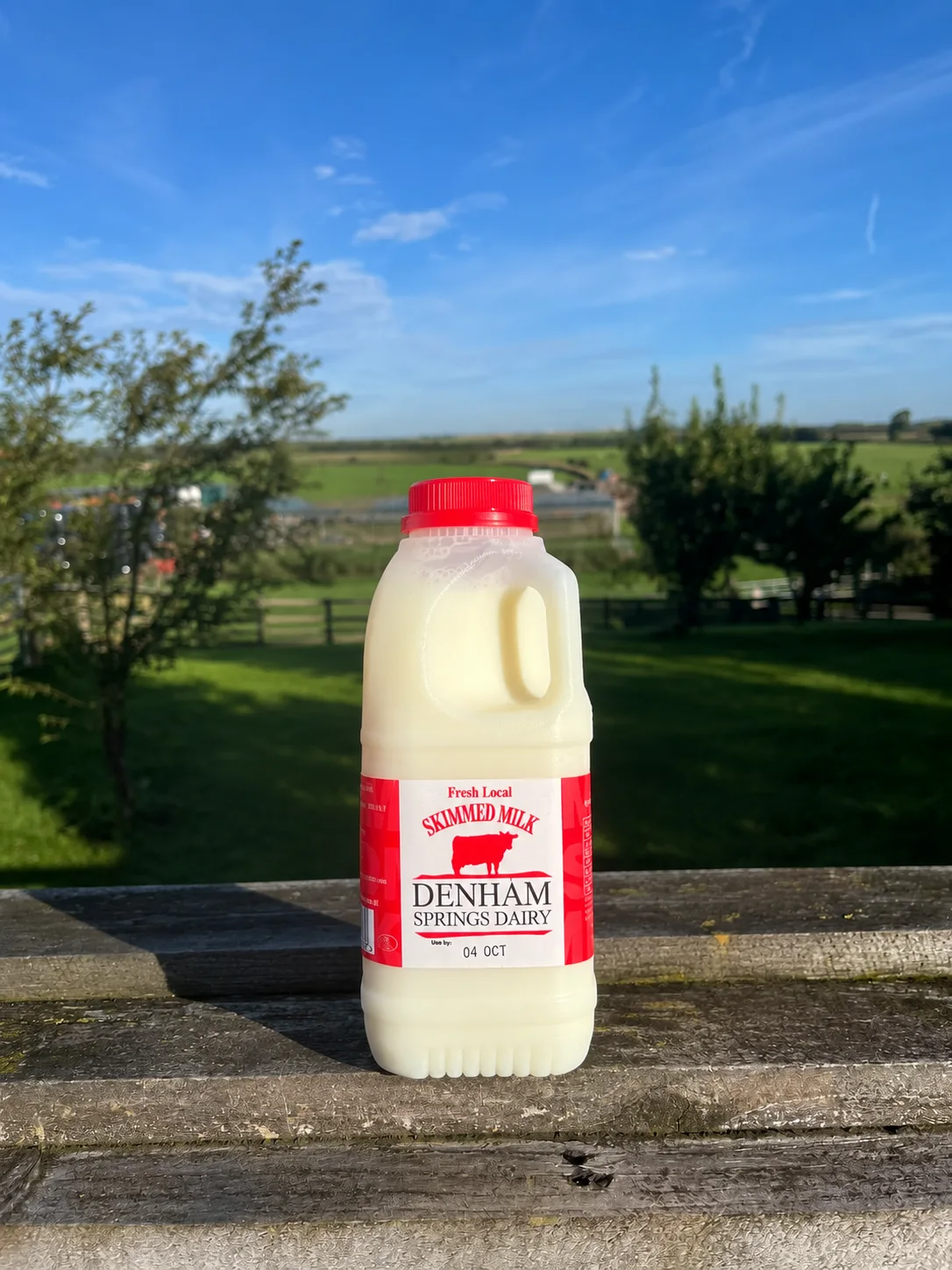 1 Pint Plastic Milk Skimmed