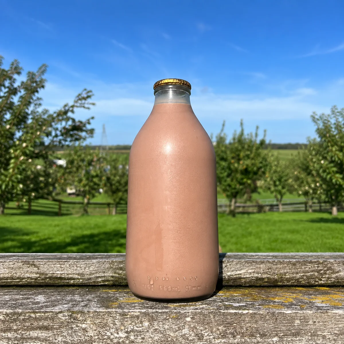 Milkshake Glass Bottle Chocolate