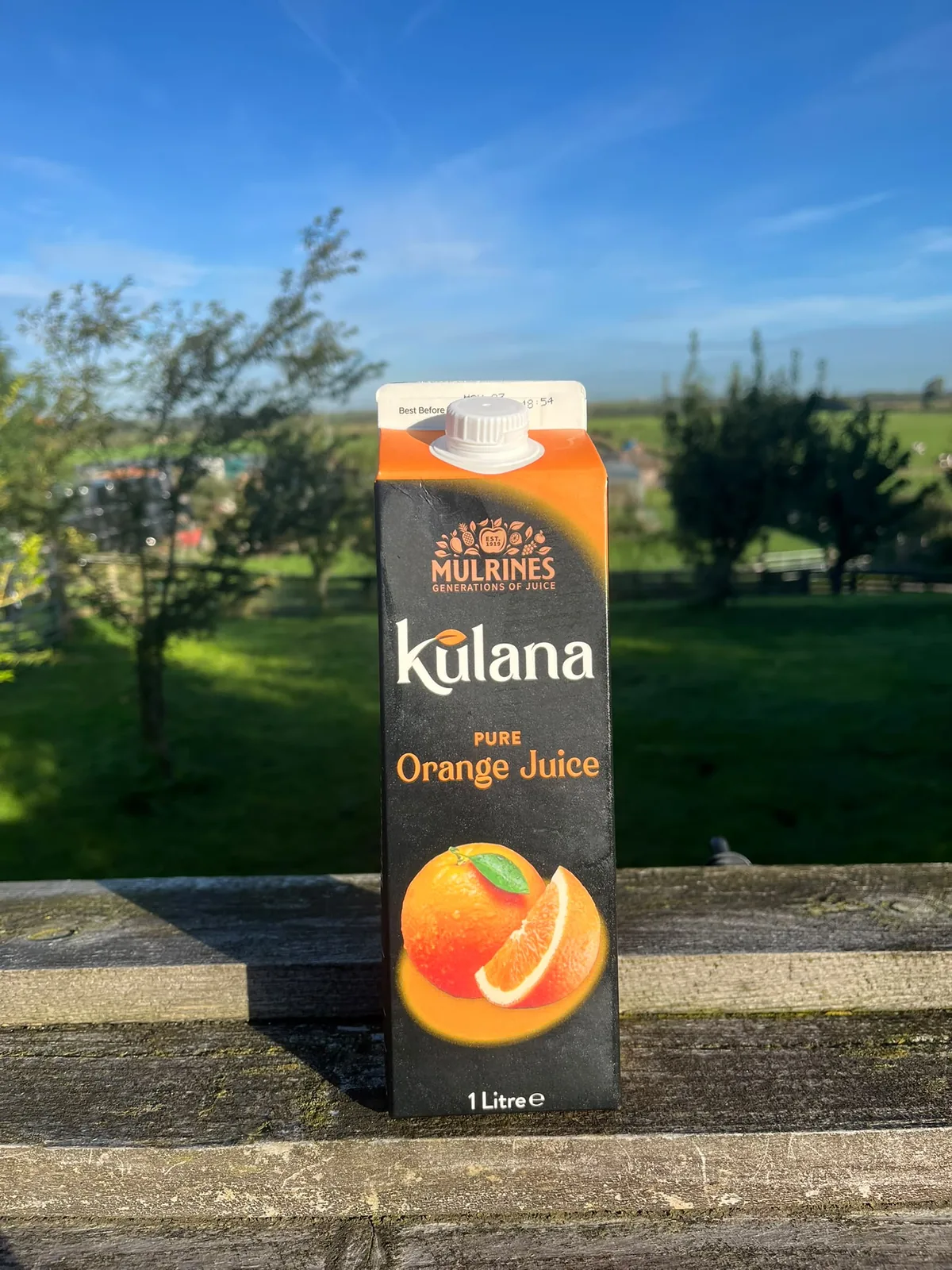Orange Juice Carton 1 Litre