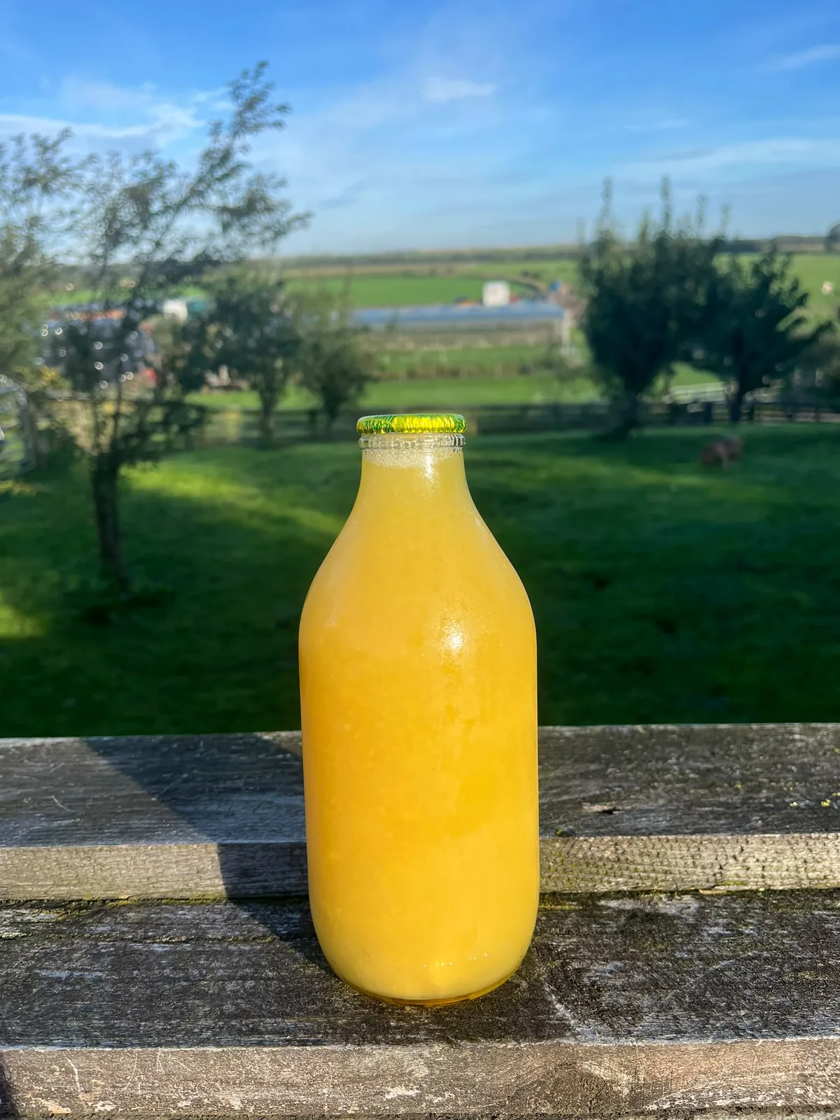 Pineapple Juice Glass Bottle